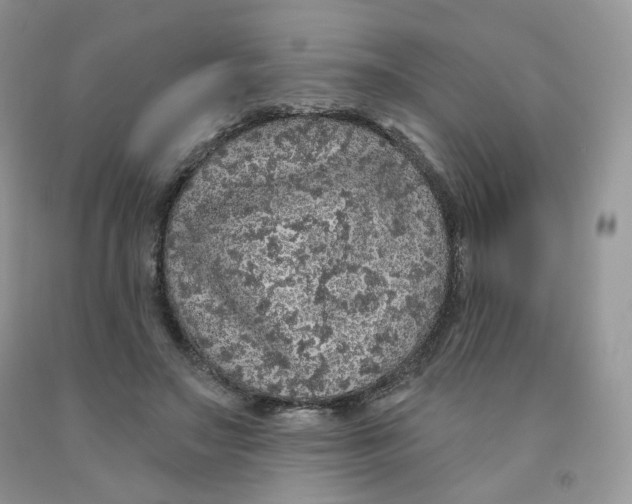 X0000091330499200709071200