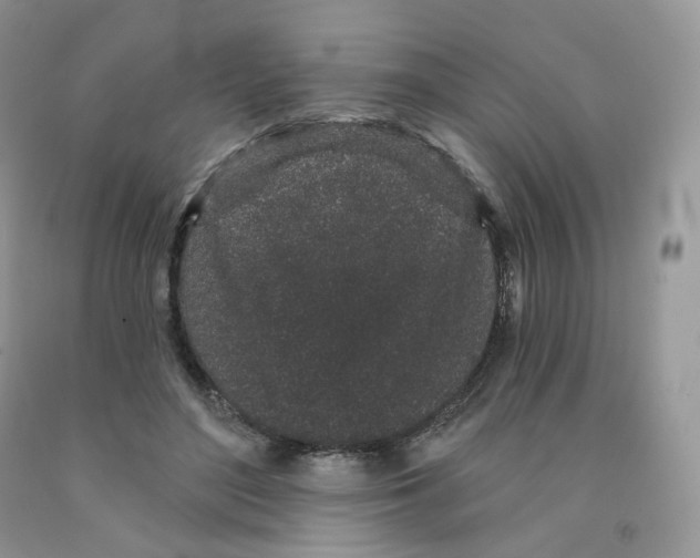 X0000091330500200709071200
