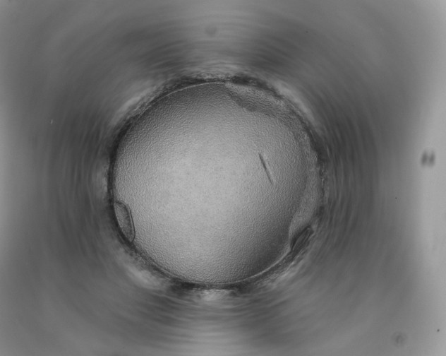 X0000091330501200709071200