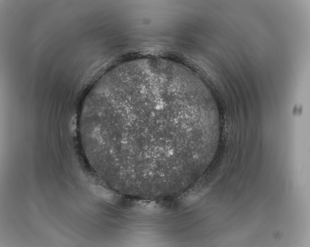 X0000091330502200709071200