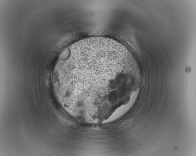 X0000091330503200709071200