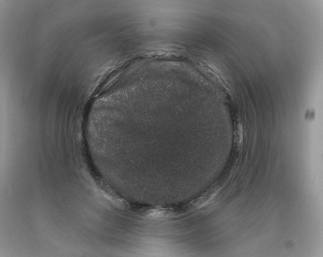 X0000091330504200709071200