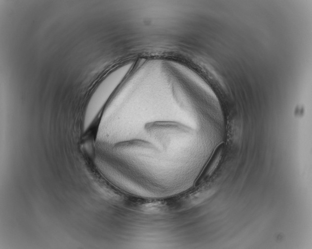 X0000091330505200709071200