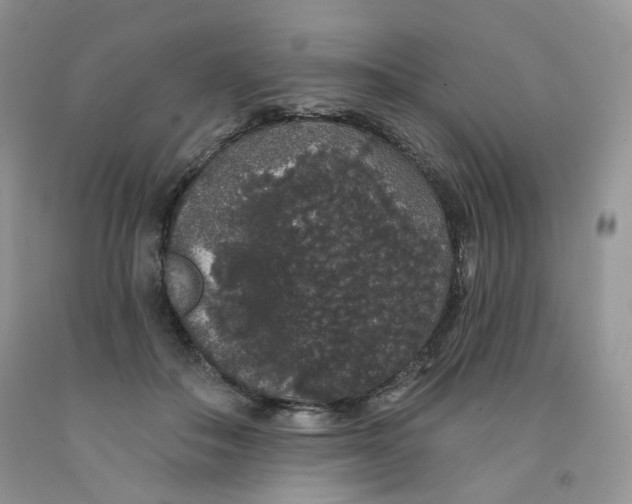 X0000091330506200709071200