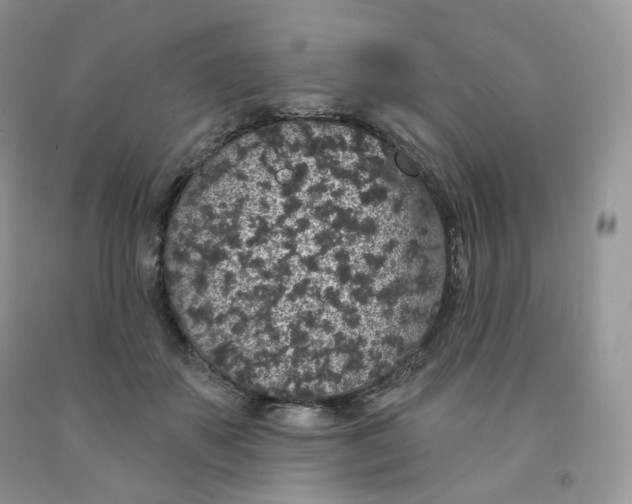 X0000091330507200709071200