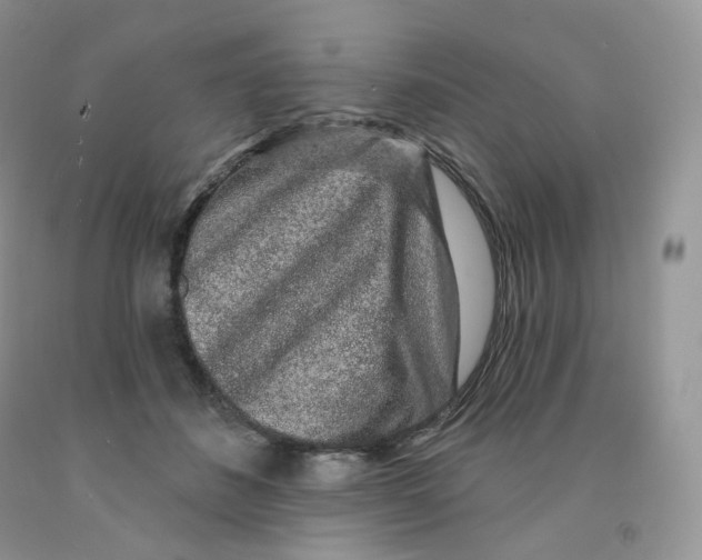 X0000091330508200709071200