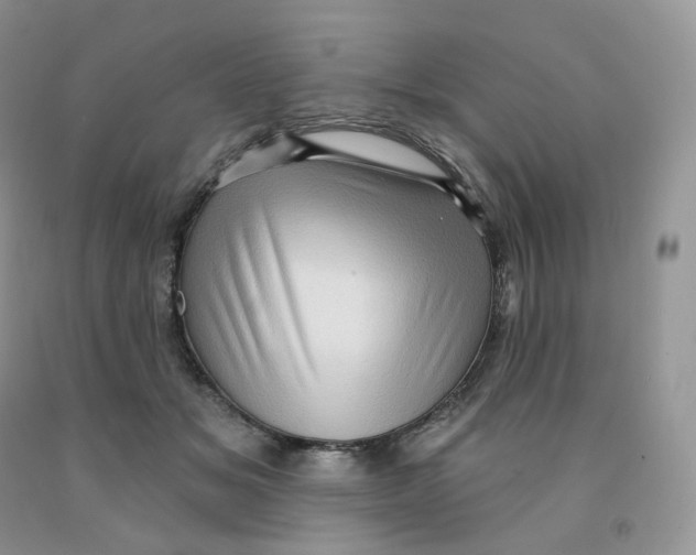 X0000091330509200709071200