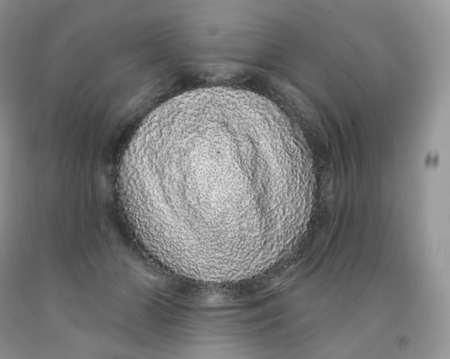 X0000091330510200709071200