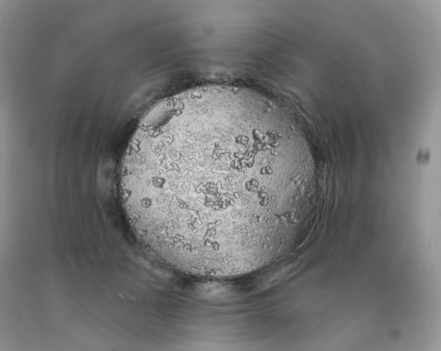 X0000091330511200709071200