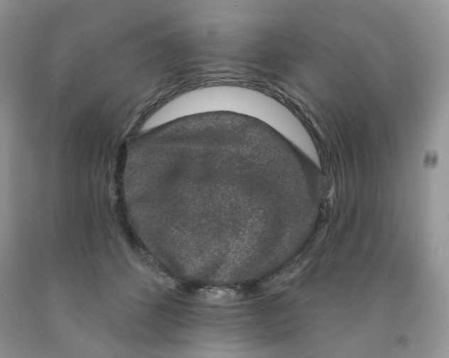 X0000091330512200709071200
