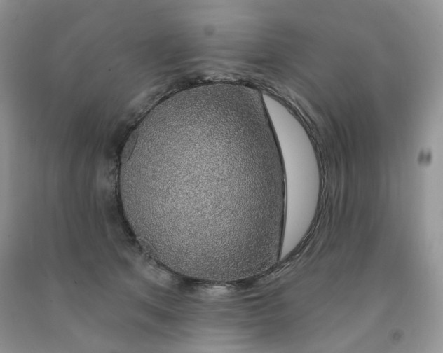 X0000091330513200709071200