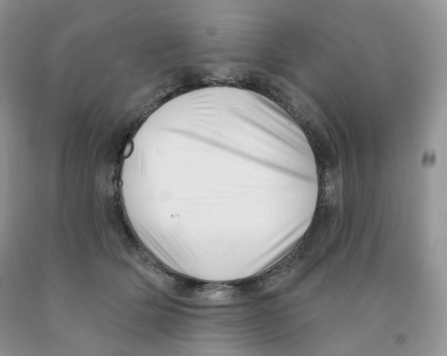 X0000091330514200709071200
