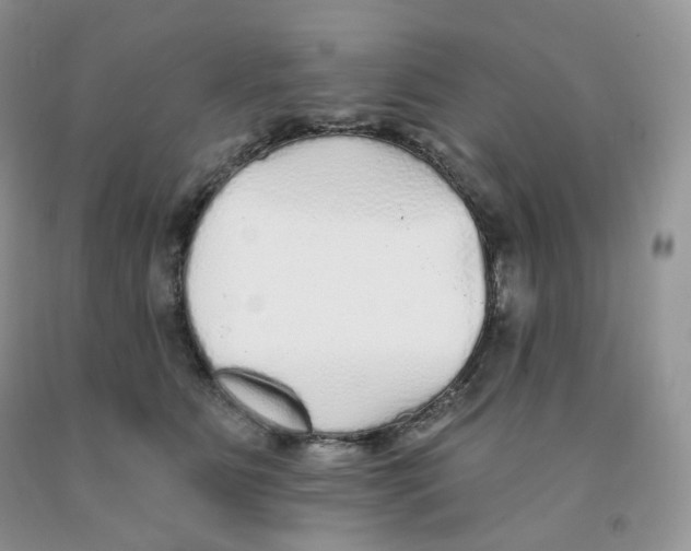 X0000091330515200709071200