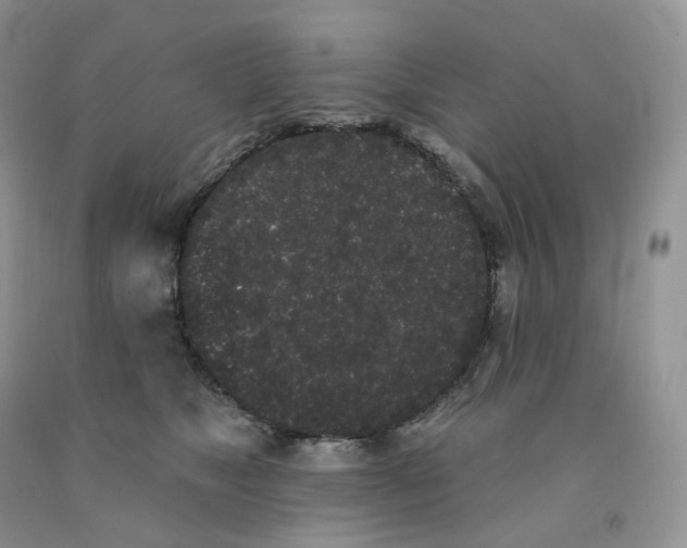 X0000091330517200709071200