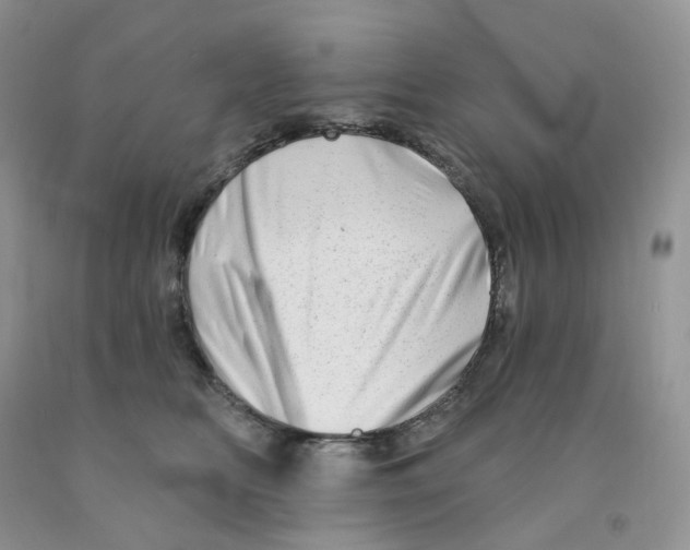 X0000091330518200709071200