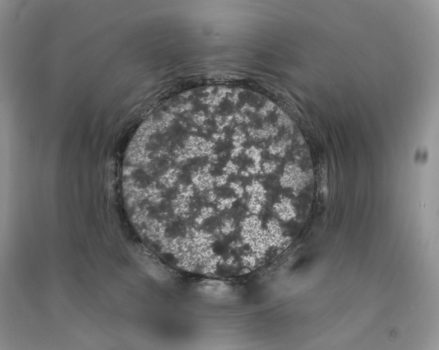 X0000091330519200709071200
