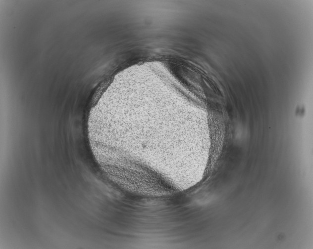 X0000091330520200709071200