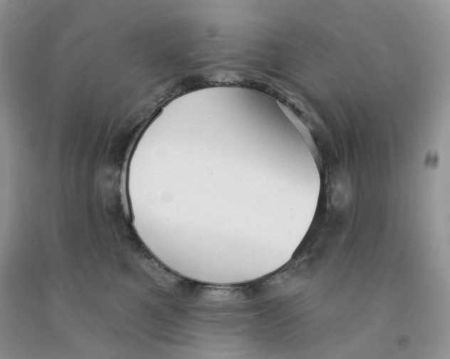 X0000091330521200709071200