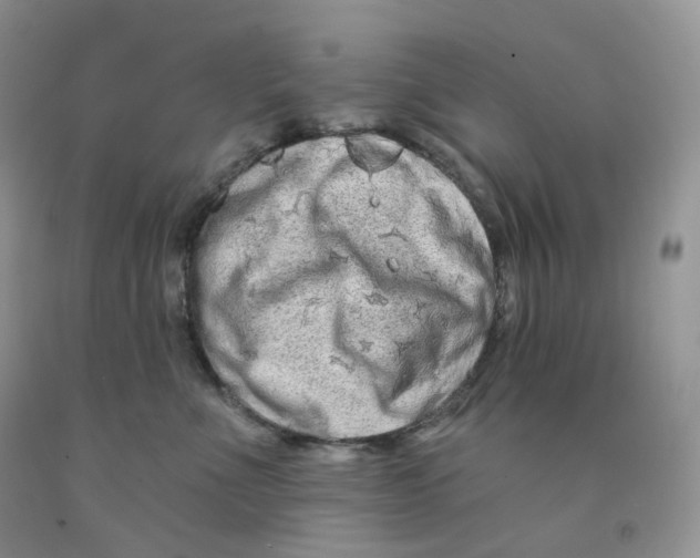 X0000091330523200709071200