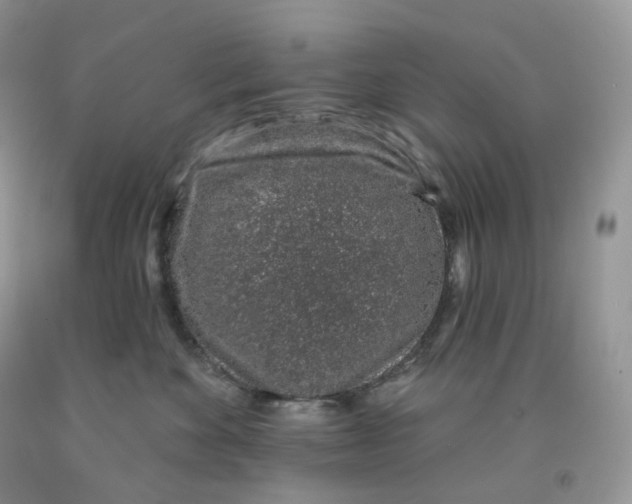 X0000091330524200709071200