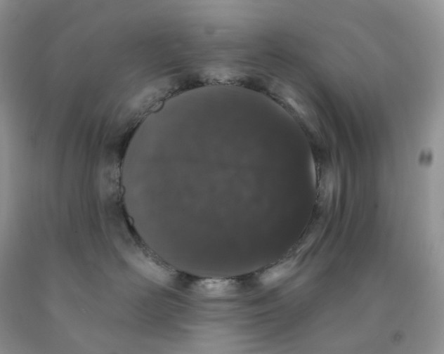 X0000091330526200709071159
