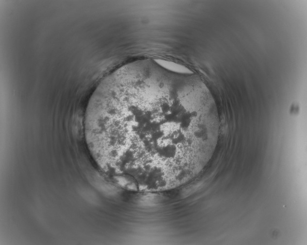 X0000091330527200709071159