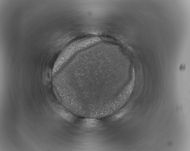 X0000091330528200709071159
