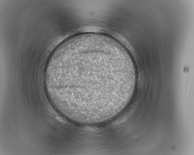 X0000091330529200709071159
