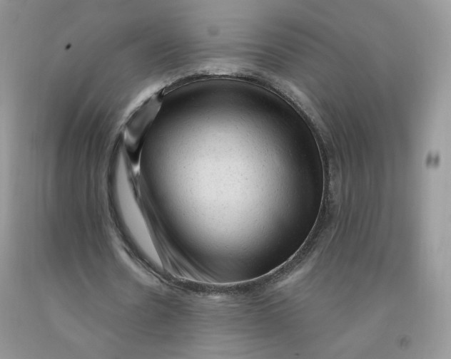 X0000091330530200709071159