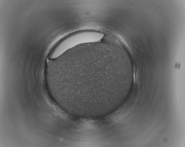X0000091330531200709071159