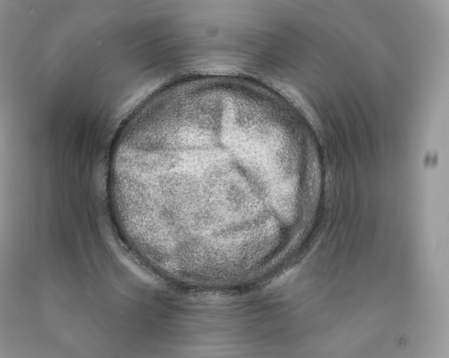 X0000091330533200709071159