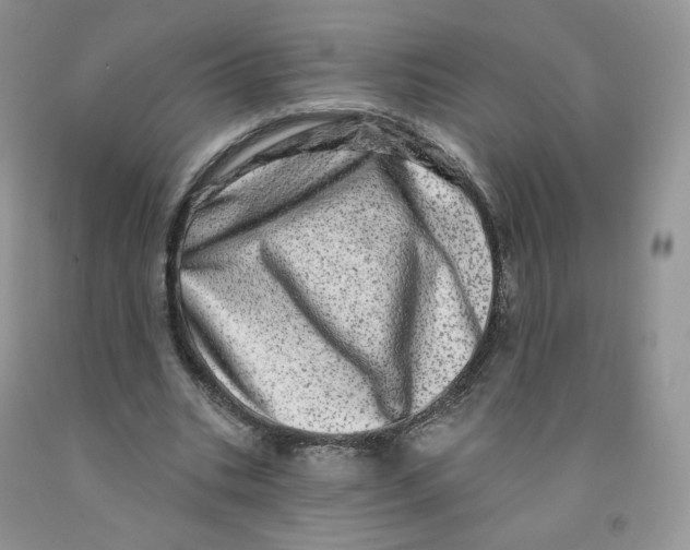 X0000091330535200709071159