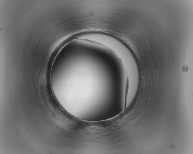 X0000091330536200709071159