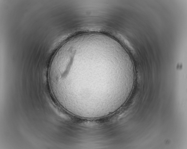 X0000091330537200709071159
