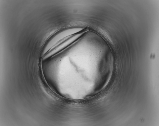 X0000091330538200709071159