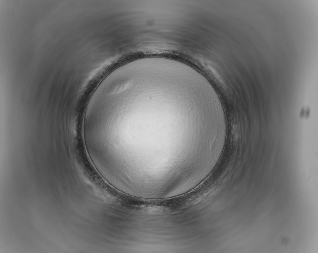 X0000091330539200709071159