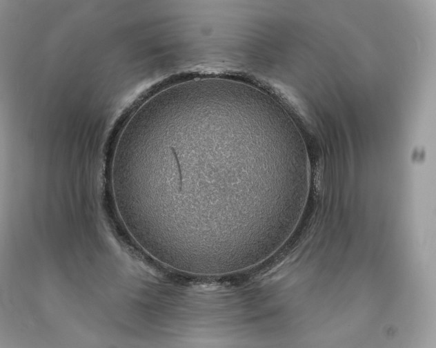 X0000091330540200709071159