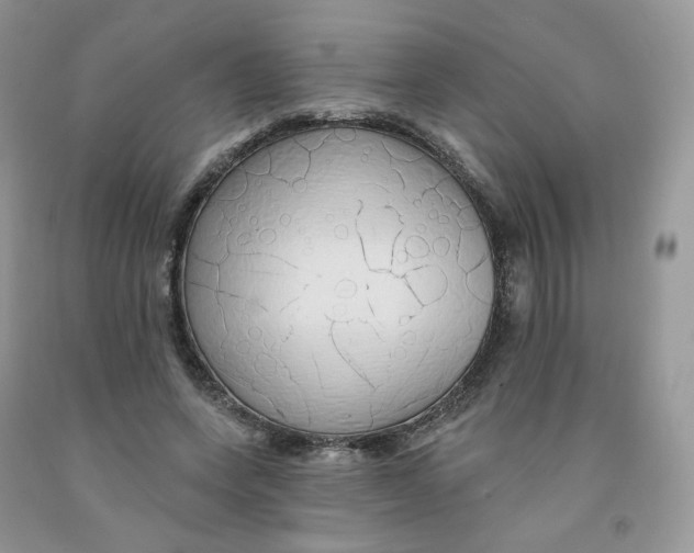 X0000091330543200709071159