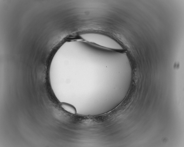 X0000091330544200709071159