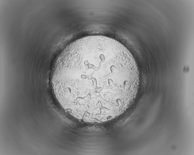 X0000091330545200709071159