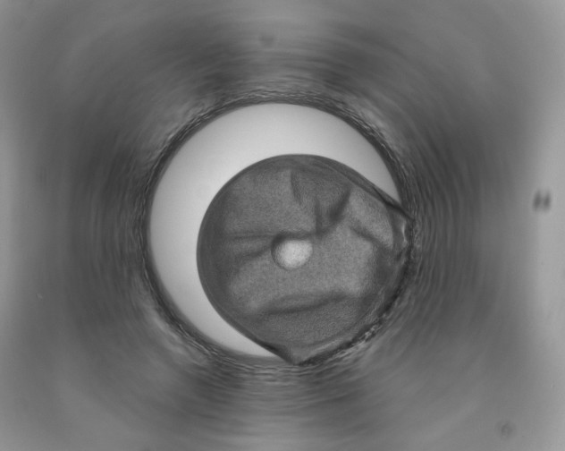 X0000091330546200709071159