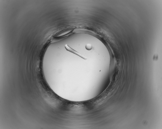 X0000091330548200709071159