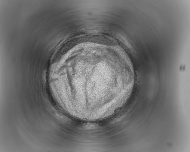 X0000091330549200709071159