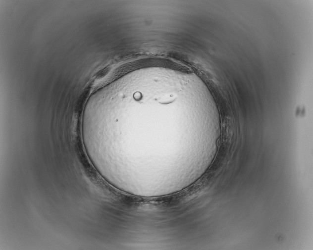 X0000091330550200709071159