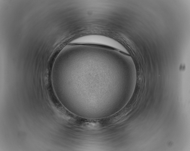 X0000091330552200709071159