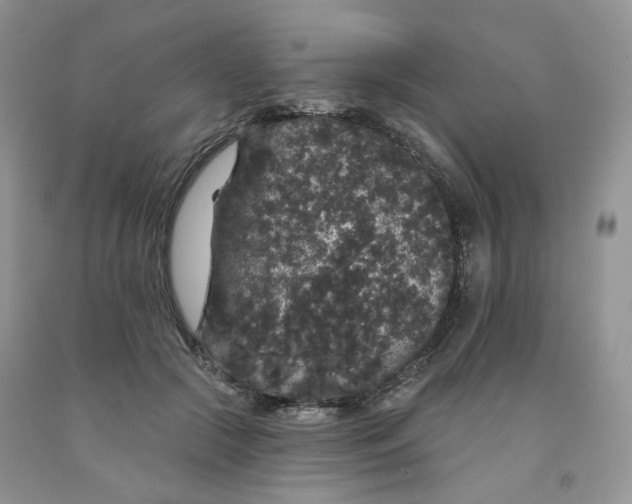 X0000091330553200709071159