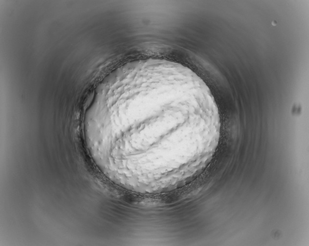 X0000091330554200709071159