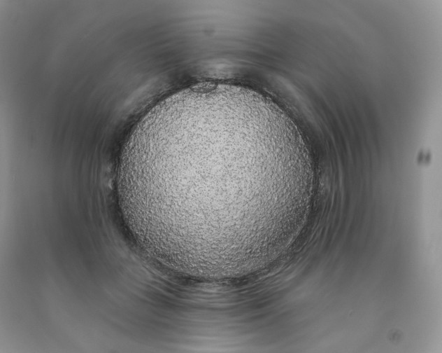 X0000091330555200709071159