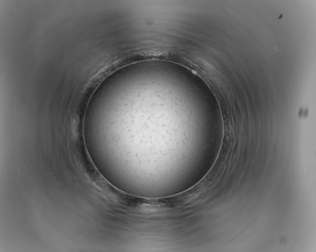 X0000091330556200709071159