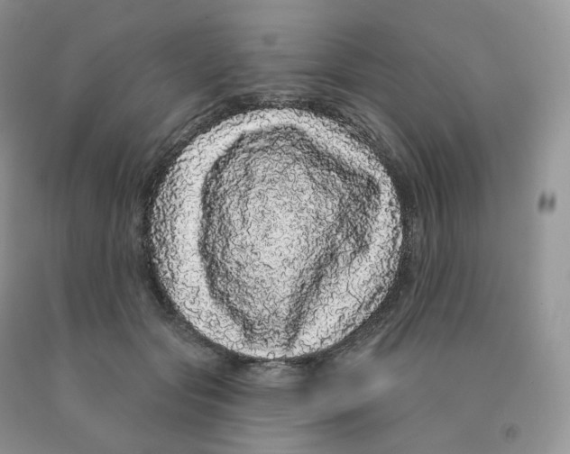 X0000091330557200709071159